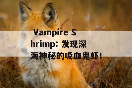  Vampire Shrimp: 发现深海神秘的吸血鬼虾！