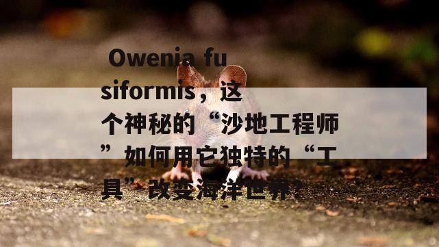  Owenia fusiformis，这个神秘的“沙地工程师”如何用它独特的“工具”改变海洋世界？